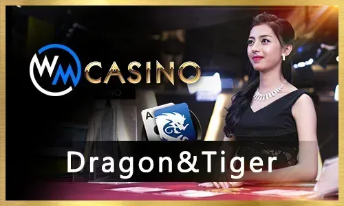 Beginner's Guide to Sports Betting